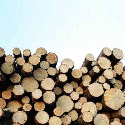 桐乡市恒艺木业股份有限公司