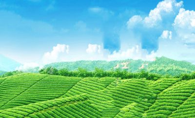 秦皇岛禾惠农业科技有限公司