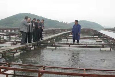 重庆长丰鱼苗水产养殖场