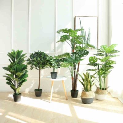 广州市植觉空间园艺工程有限公司