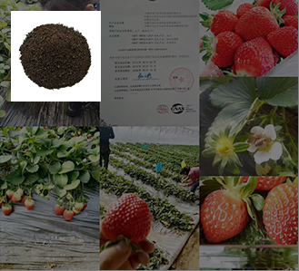 内蒙古蒙沃康生物科技有限公司