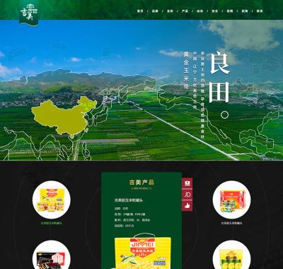 沈阳凯鸿科技有限公司