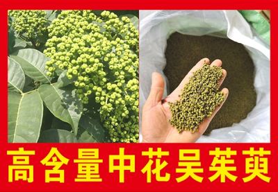 河池市宜州雲梦中药材种植有限公司