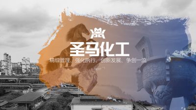 大石桥市圣马化工有限公司