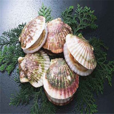 内蒙古雄远科技有限公司