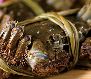 汉川市南河古渡生态农业发展有限责任公司