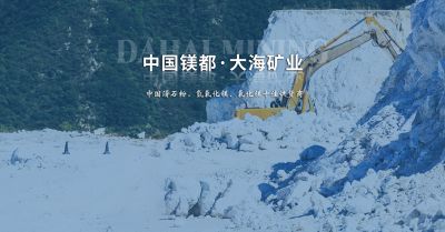 营口大海滑石矿业有限公司