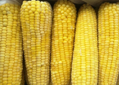 唐山恒腾食品有限公司