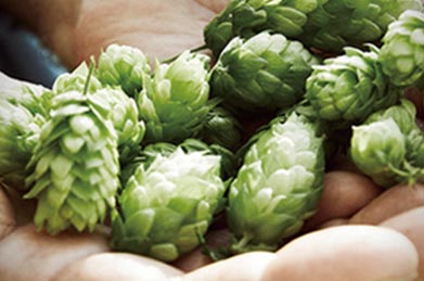 青岛燕山啤酒有限公司