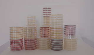 河南美凯生物科技有限公司