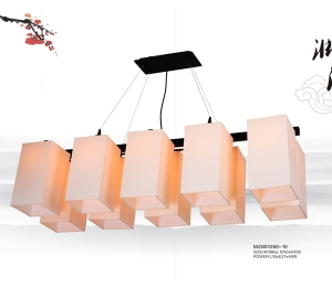 中山市明众灯饰有限公司