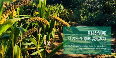 鹤壁市赛科化工有限公司