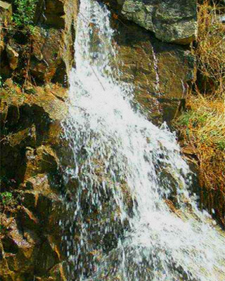 本溪龙山泉啤酒有限公司