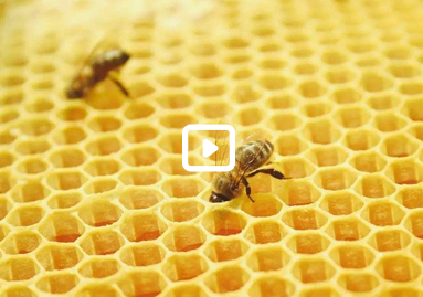 上海蔻颜生物科技有限公司