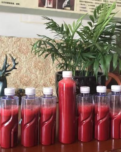 南通梅花鹿养殖场