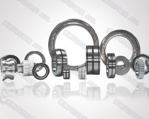 常州市爱斯艾尔轴承制造有限公司