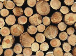 东莞市清流实业有限公司