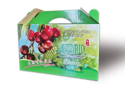 大连嘉乐纸制品有限公司