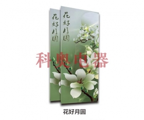 沈阳科奥电器有限公司