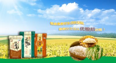 中山市亿丰米业有限公司