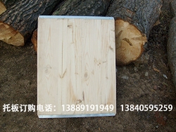 辽宁鸿盛托板厂