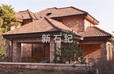 大连世博达贸易有限公司