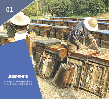 常州圣贝特蜂产品有限公司