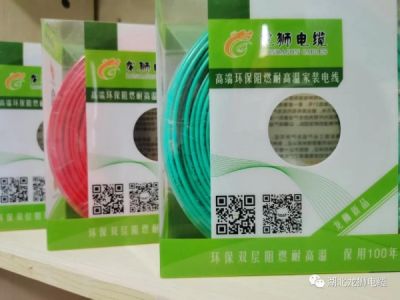 湖北龙狮节能环保特种电缆有限公司