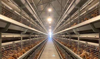 辽阳县亿阳饲料有限公司