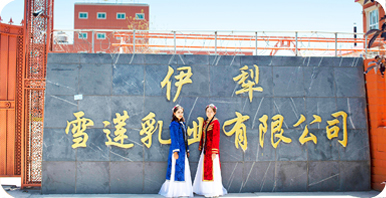 伊犁雪莲乳业有限公司