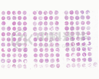 中科光华（西安）智能生物科技有限公司