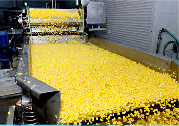 唐山楚乐食品有限公司