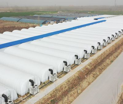 山东远洋农业开发有限公司