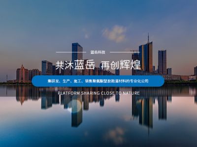 山东蓝岳新材料科技有限公司