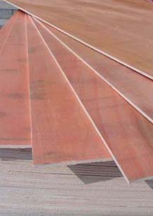 大连森太木业有限公司