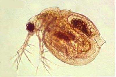 盱眙万隆生态龙虾产业开发有限公司