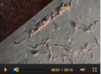 北京美科达科技发展有限公司