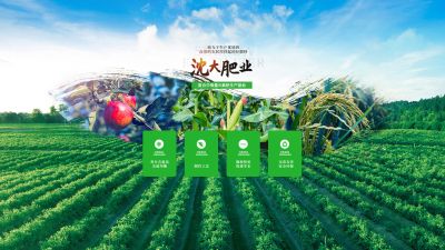 营口沈大肥业有限公司