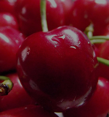 大连红核特色小镇农业有限公司