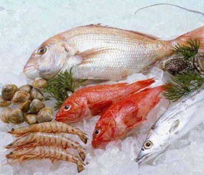 深圳市夏之星制冷设备有限公司