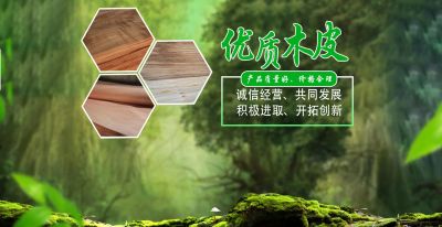 临沂飞龙木业有限公司