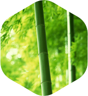 泸州锦兰科技有限公司