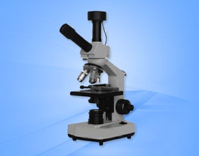 大安市冠康科技发展有限公司