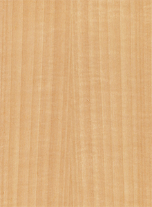 重庆蓝熊家居有限公司