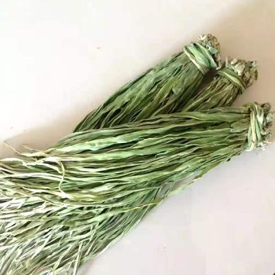 涡阳县盛荣苔干种植专业合作社