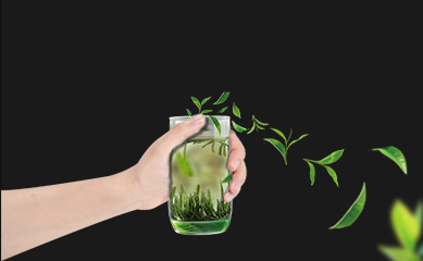 湖北绿可生态茶业有限公司