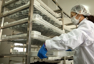 大连富渔岛海洋生物科技有限公司