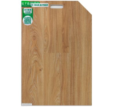 大连辉明迈进新材料有限公司