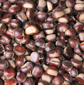 迁西县家红板栗专业合作社