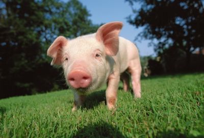 河南省图天新能源科技有限公司